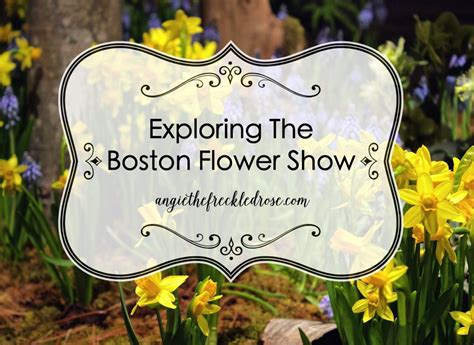 The details. . Boston flower show 2023